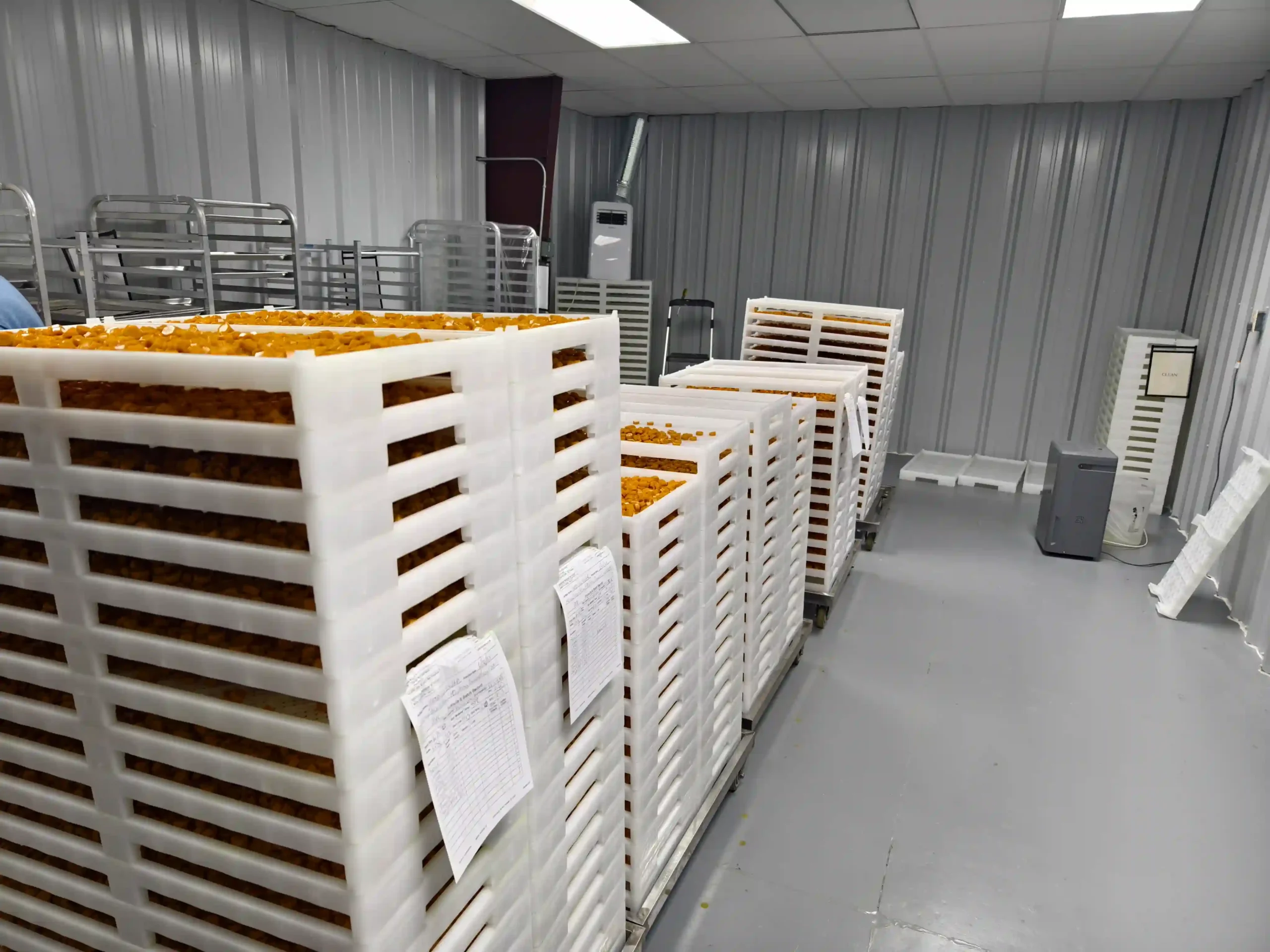 GMP certified gummy production workshop and cleanroom facility for supplement manufacturing