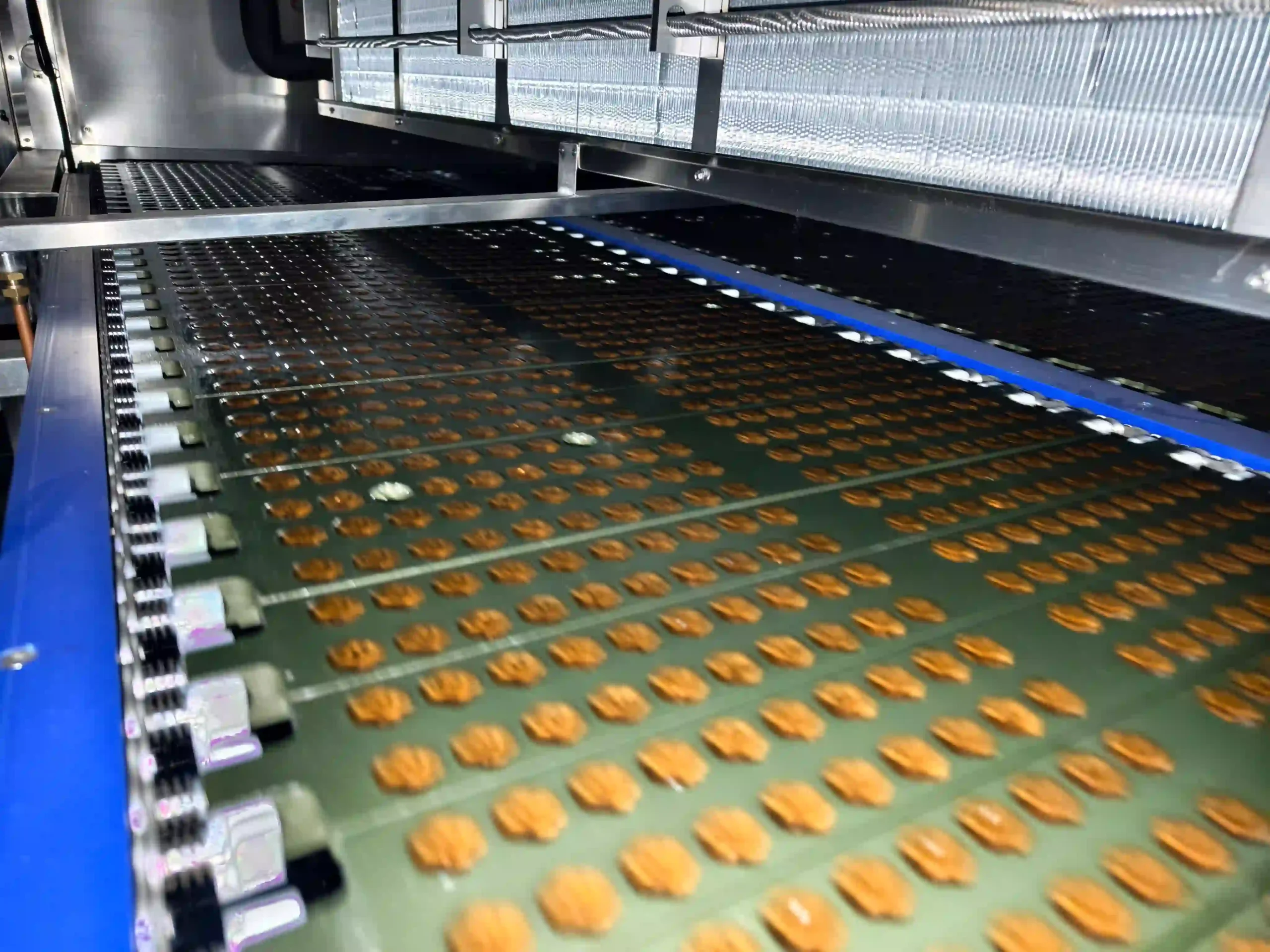 Gummy supplement automated production line with in-process quality control monitoring