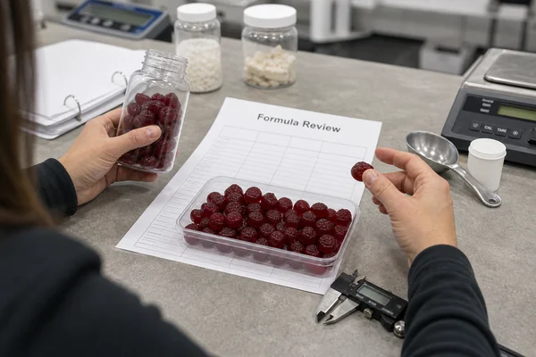 gummy iron supplements formulation review