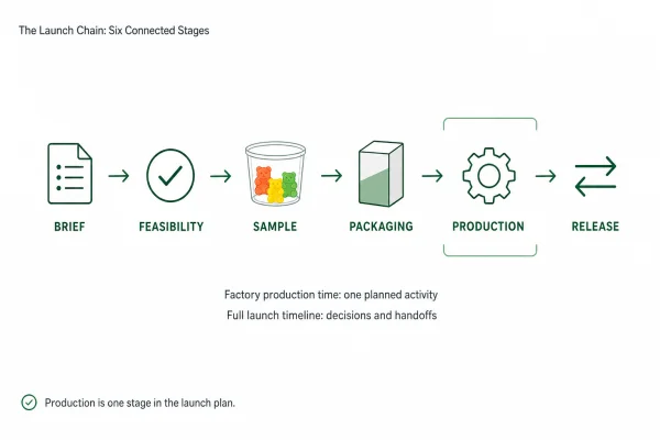 gummy manufacturing timeline compared with factory production time