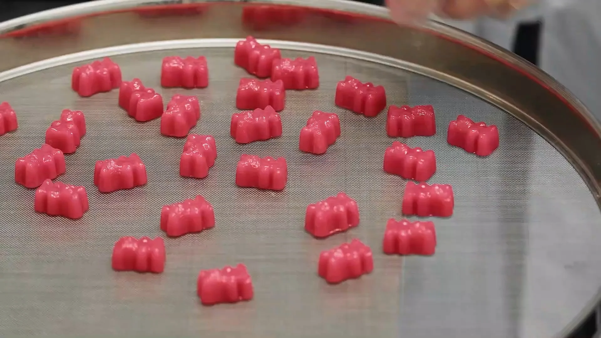 Pink bear-shaped gummies arranged on a round metal mesh tray.